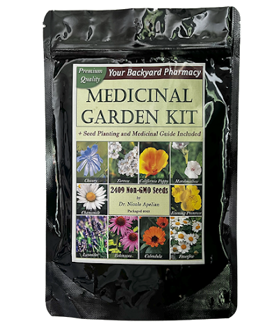  Benefits of Mugwort