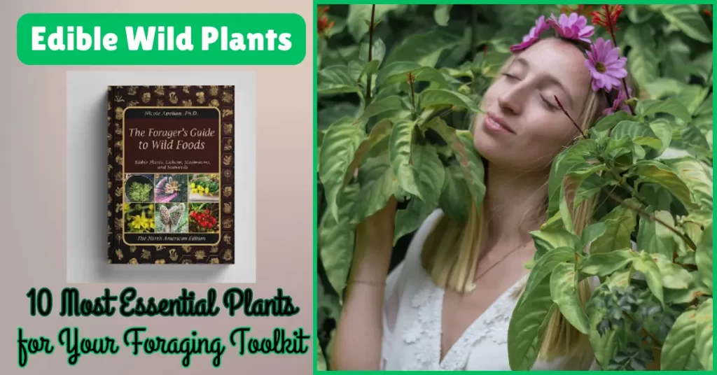 Edible Wild Plants